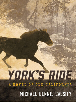cover image of York's Ride